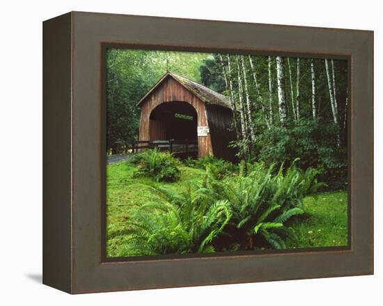 Yachats River Covered Bridge in Siuslaw National Forest, North Fork, Oregon, USA-Steve Terrill-Framed Premier Image Canvas