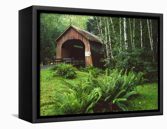 Yachats River Covered Bridge in Siuslaw National Forest, North Fork, Oregon, USA-Steve Terrill-Framed Premier Image Canvas