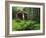 Yachats River Covered Bridge in Siuslaw National Forest, North Fork, Oregon, USA-Steve Terrill-Framed Photographic Print