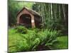 Yachats River Covered Bridge in Siuslaw National Forest, North Fork, Oregon, USA-Steve Terrill-Mounted Photographic Print