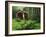 Yachats River Covered Bridge in Siuslaw National Forest, North Fork, Oregon, USA-Steve Terrill-Framed Photographic Print