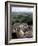 Yachilan, Mayan Ruins, Mexico-Alexander Nesbitt-Framed Photographic Print