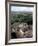 Yachilan, Mayan Ruins, Mexico-Alexander Nesbitt-Framed Photographic Print