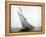 Yacht Columbia Sailing-Bettmann-Framed Premier Image Canvas