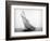 Yacht Columbia Sailing-Bettmann-Framed Premium Photographic Print