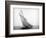 Yacht Columbia Sailing-Bettmann-Framed Photographic Print