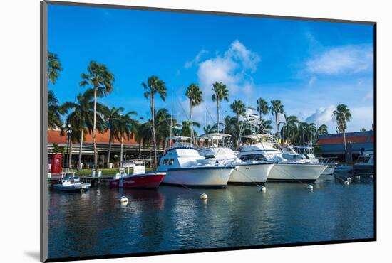 Yacht Harbour in Downtown Oranjestad, Capital of Aruba, ABC Islands, Netherlands Antilles-Michael Runkel-Mounted Photographic Print