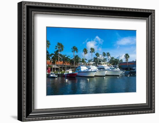 Yacht Harbour in Downtown Oranjestad, Capital of Aruba, ABC Islands, Netherlands Antilles-Michael Runkel-Framed Photographic Print