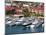 Yacht Haven Grande Marina, Charlotte Amalie, St. Thomas Island, U.S. Virgin Islands, West Indies-Richard Cummins-Mounted Photographic Print