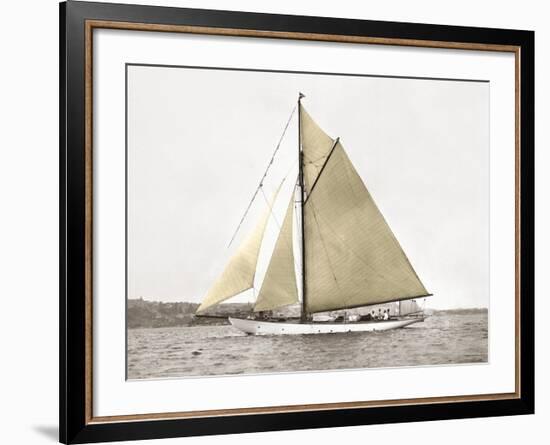 Yacht on Sydney Harbour-null-Framed Art Print