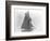 Yacht Reliance at Full Sail-null-Framed Photographic Print