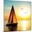 Yacht Sailing against Sunset. Holiday Lifestyle Landscape with Skyline Sailboat and Two Seagull. Ya-Repina Valeriya-Mounted Photographic Print