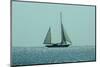 Yacht Sailing in Mediterranean during Summer-ilker canikligil-Mounted Photographic Print