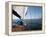 Yacht Sailing West Along the Coast, Dorset, England, United Kingdom, Europe-David Lomax-Framed Premier Image Canvas