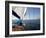 Yacht Sailing West Along the Coast, Dorset, England, United Kingdom, Europe-David Lomax-Framed Photographic Print