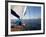 Yacht Sailing West Along the Coast, Dorset, England, United Kingdom, Europe-David Lomax-Framed Photographic Print