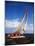 Yacht "Starlight" in Full Sail in Caribbean-Eliot Elisofon-Mounted Photographic Print