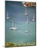 Yachts Anchor in British Harbor, Antigua, Caribbean-Alexander Nesbitt-Mounted Photographic Print