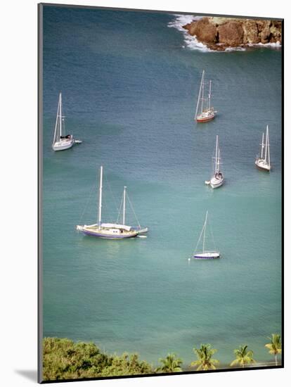 Yachts Anchor in British Harbor, Antigua, Caribbean-Alexander Nesbitt-Mounted Photographic Print