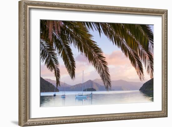 Yachts Anchored on the Idyllic Queen Charlotte Sound, Marlborough Sounds, South Island, New Zealand-Doug Pearson-Framed Photographic Print