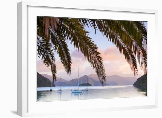 Yachts Anchored on the Idyllic Queen Charlotte Sound, Marlborough Sounds, South Island, New Zealand-Doug Pearson-Framed Photographic Print