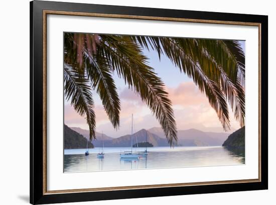 Yachts Anchored on the Idyllic Queen Charlotte Sound, Marlborough Sounds, South Island, New Zealand-Doug Pearson-Framed Photographic Print