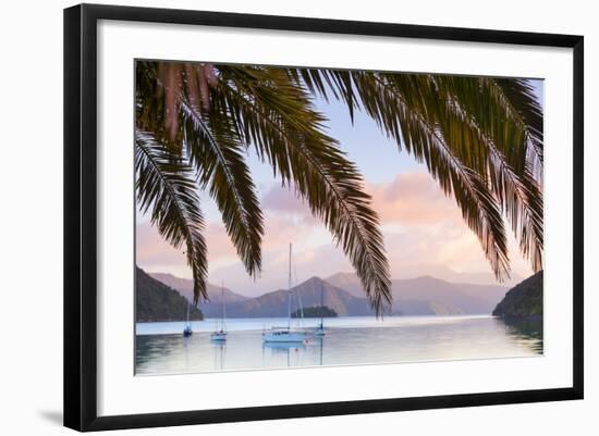 Yachts Anchored on the Idyllic Queen Charlotte Sound, Marlborough Sounds, South Island, New Zealand-Doug Pearson-Framed Photographic Print