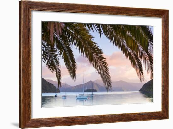 Yachts Anchored on the Idyllic Queen Charlotte Sound, Marlborough Sounds, South Island, New Zealand-Doug Pearson-Framed Photographic Print