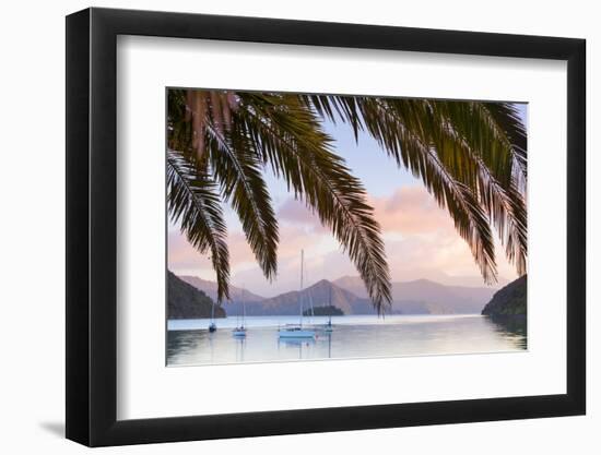 Yachts Anchored on the Idyllic Queen Charlotte Sound, Marlborough Sounds, South Island, New Zealand-Doug Pearson-Framed Photographic Print