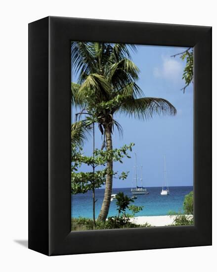 Yachts and Palms, Barbados, West Indies, Caribbean, Central America-J Lightfoot-Framed Premier Image Canvas