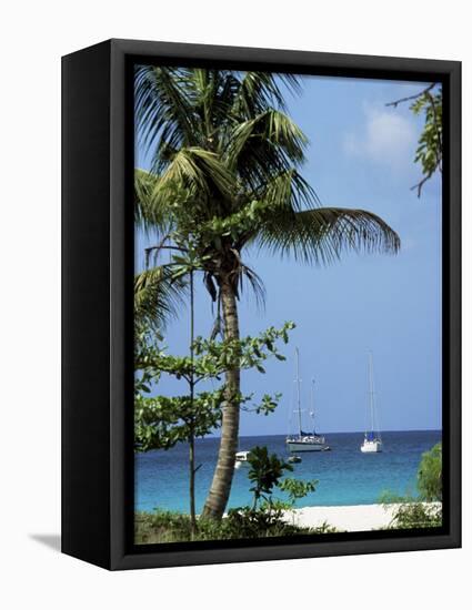 Yachts and Palms, Barbados, West Indies, Caribbean, Central America-J Lightfoot-Framed Premier Image Canvas