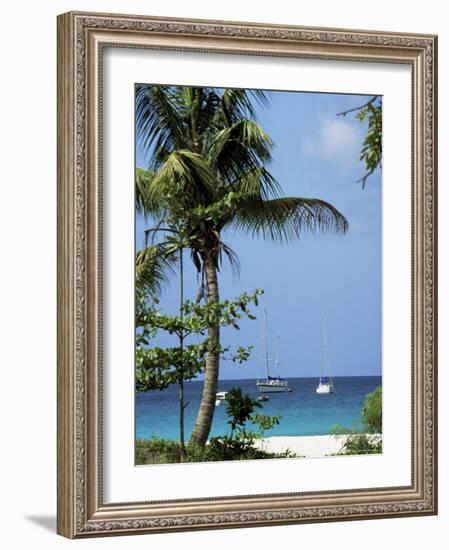 Yachts and Palms, Barbados, West Indies, Caribbean, Central America-J Lightfoot-Framed Photographic Print