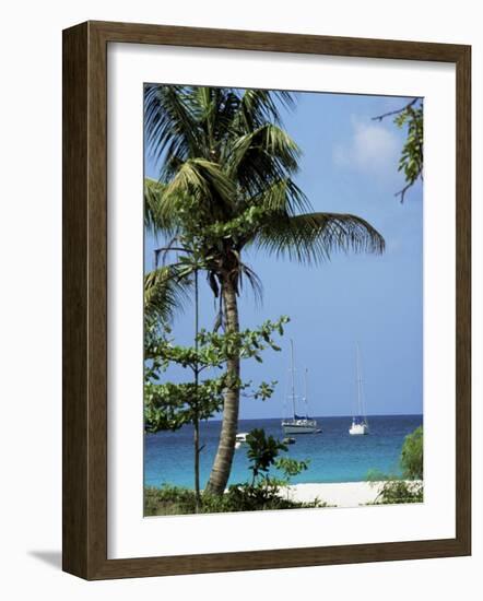 Yachts and Palms, Barbados, West Indies, Caribbean, Central America-J Lightfoot-Framed Photographic Print