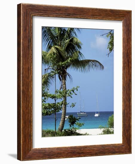 Yachts and Palms, Barbados, West Indies, Caribbean, Central America-J Lightfoot-Framed Photographic Print
