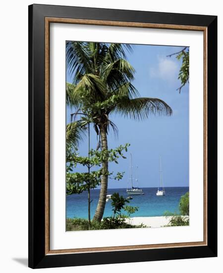 Yachts and Palms, Barbados, West Indies, Caribbean, Central America-J Lightfoot-Framed Photographic Print