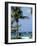 Yachts and Palms, Barbados, West Indies, Caribbean, Central America-J Lightfoot-Framed Photographic Print