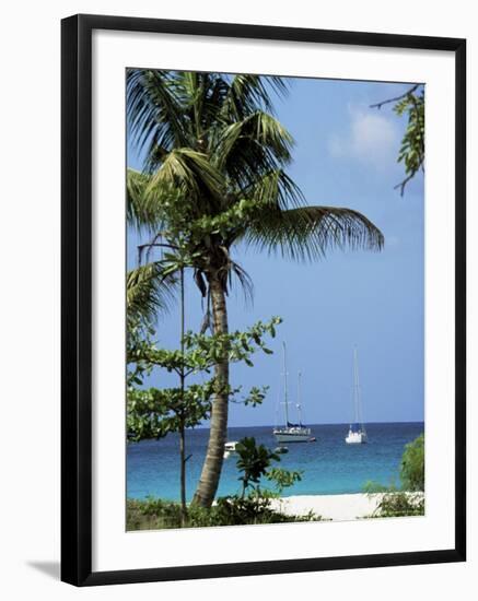 Yachts and Palms, Barbados, West Indies, Caribbean, Central America-J Lightfoot-Framed Photographic Print