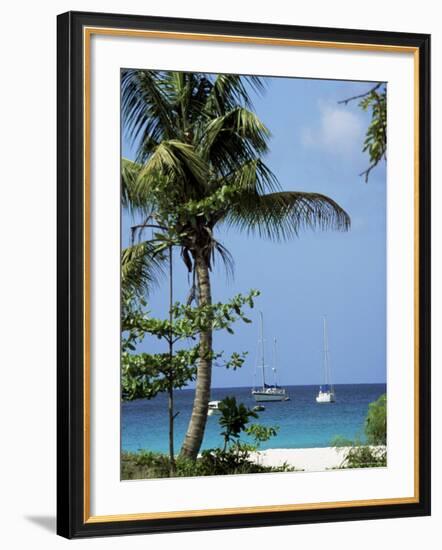 Yachts and Palms, Barbados, West Indies, Caribbean, Central America-J Lightfoot-Framed Photographic Print