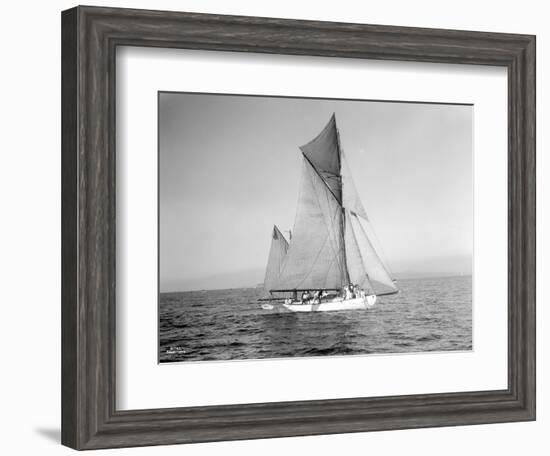 Yachts-Lipton Cup Races, Gwendolin, 1914-Asahel Curtis-Framed Giclee Print