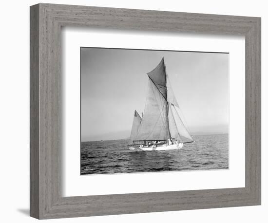 Yachts-Lipton Cup Races, Gwendolin, 1914-Asahel Curtis-Framed Giclee Print