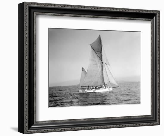 Yachts-Lipton Cup Races, Gwendolin, 1914-Asahel Curtis-Framed Giclee Print