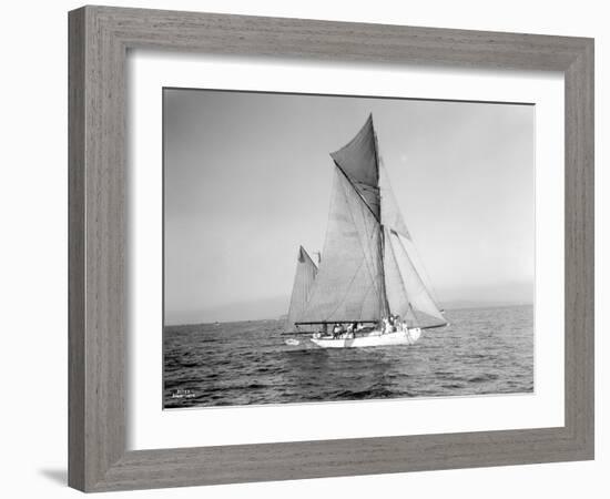 Yachts-Lipton Cup Races, Gwendolin, 1914-Asahel Curtis-Framed Giclee Print