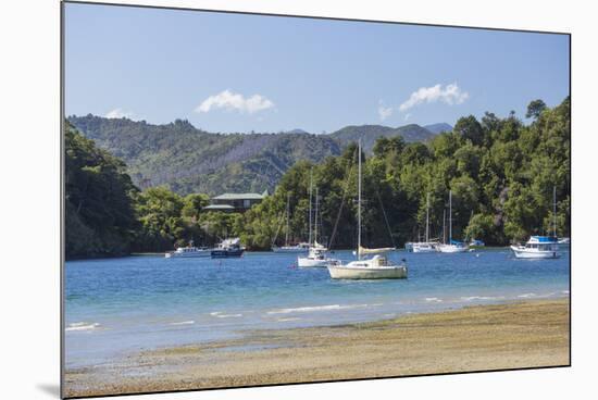 Yachts moored in the sheltered harbour, Ngakuta Bay, near Picton, Marlborough, South Island, New Ze-Ruth Tomlinson-Mounted Photographic Print