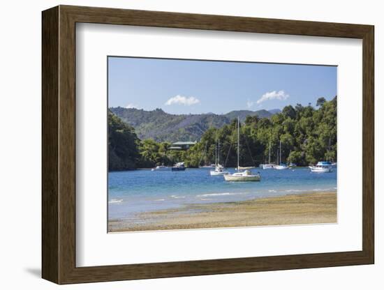 Yachts moored in the sheltered harbour, Ngakuta Bay, near Picton, Marlborough, South Island, New Ze-Ruth Tomlinson-Framed Photographic Print