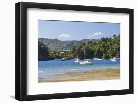 Yachts moored in the sheltered harbour, Ngakuta Bay, near Picton, Marlborough, South Island, New Ze-Ruth Tomlinson-Framed Photographic Print