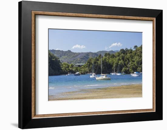 Yachts moored in the sheltered harbour, Ngakuta Bay, near Picton, Marlborough, South Island, New Ze-Ruth Tomlinson-Framed Photographic Print