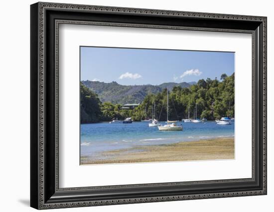 Yachts moored in the sheltered harbour, Ngakuta Bay, near Picton, Marlborough, South Island, New Ze-Ruth Tomlinson-Framed Photographic Print