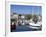 Yachts, the Barbican, Plymouth, Devon, England, United Kingdom, Europe-Jeremy Lightfoot-Framed Photographic Print