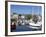 Yachts, the Barbican, Plymouth, Devon, England, United Kingdom, Europe-Jeremy Lightfoot-Framed Photographic Print