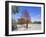 Yad Vashem Holocaust Memorial, Partisans Panorama Memorial Tree, Mount Herzl, Jerusalem, Israel-Gavin Hellier-Framed Photographic Print